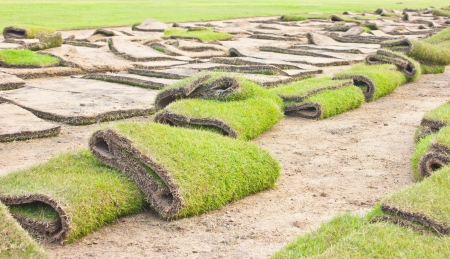 Rolls of green grass, laying in progress の写真素材