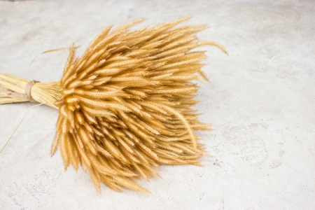 Sheaf of wheat on ground の写真素材