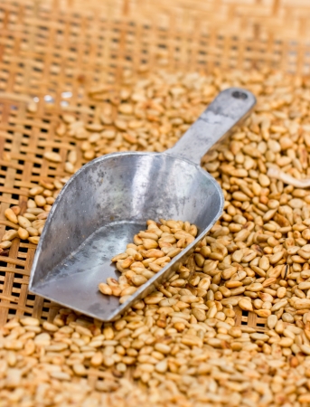 Fried sunflower seed with metal scoop in bamboo basket.の写真素材