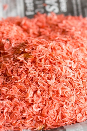 Pile of dried shrimp for Thai cooking recipe の写真素材