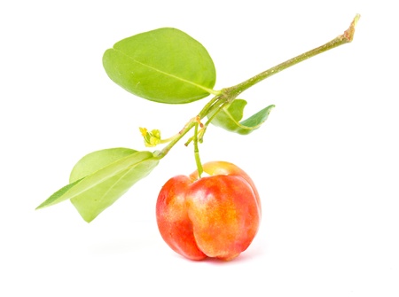 Barbados cherry isolated on white の写真素材
