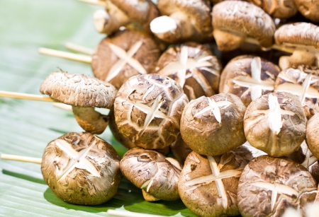 Shiitake mushroom with skewers on banana leaf の写真素材