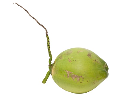 Fresh coconut isolated on white の写真素材