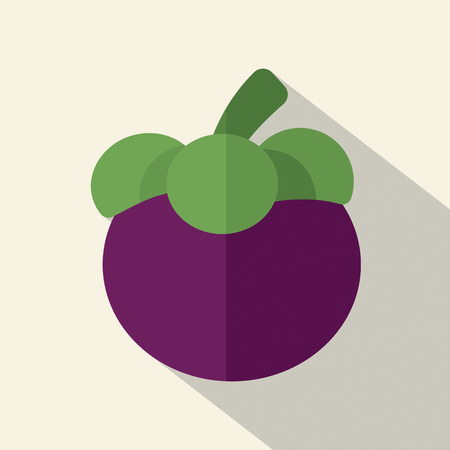 Flat Design Mangosteen Icon Vector Illustrationのイラスト素材