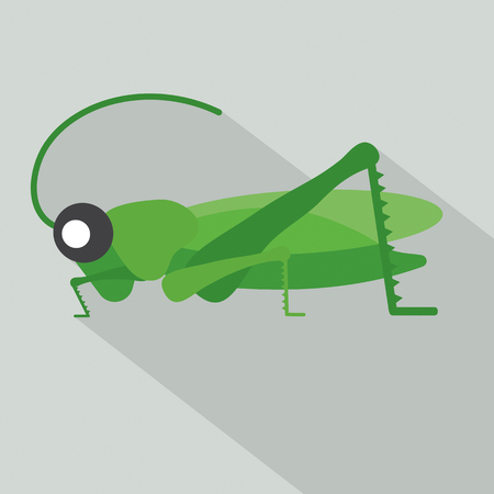Modern Flat Design Grasshopper Icon Vector Illustrationのイラスト素材