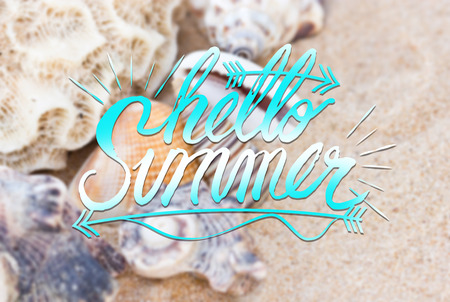 Variety of sea shells on sand Summer Concept.の写真素材