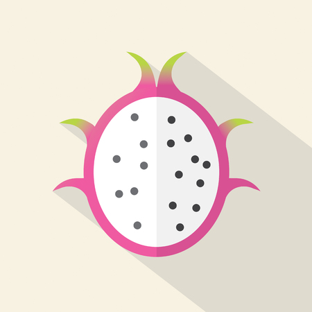 Dragon Fruit Part Flat Design Vector Illustrationのイラスト素材