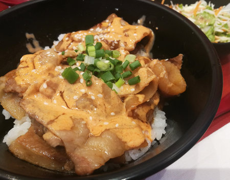 Japanese Rice Sliced Pork and Spring onion.の写真素材