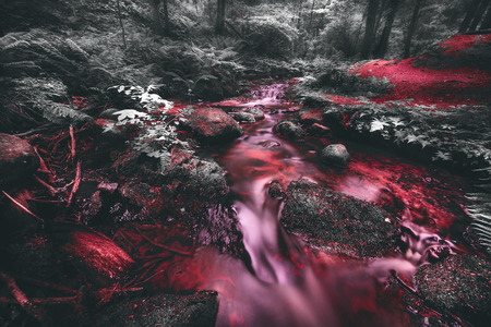 Running waters down in the deep ravineの写真素材