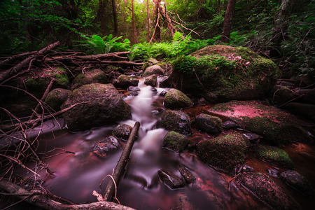 Vibrant colors in the deep ravine by the running watersの写真素材