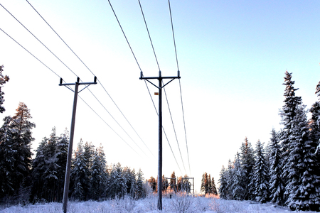 Snowy telephone lines in winter landscapeの写真素材