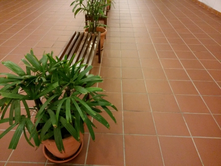 Row of benches with plantsの素材