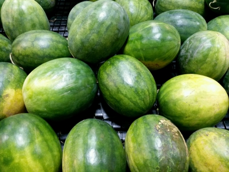 Ripe watermelons in a basketの素材