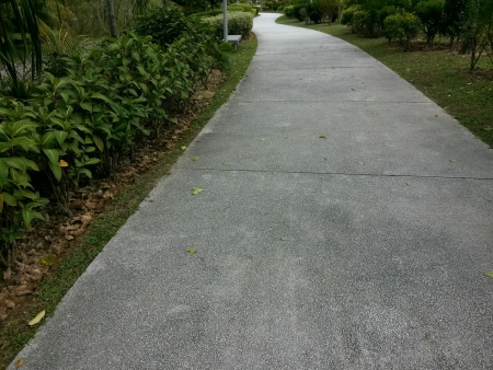Winding pathwayの素材