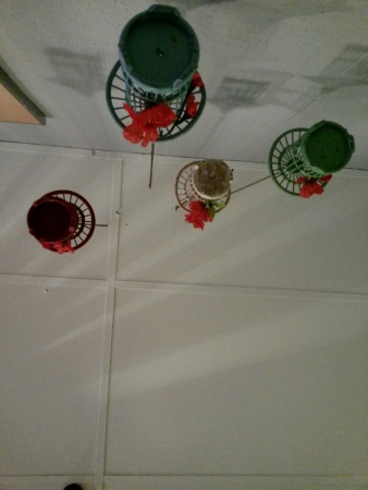 Hanging lampsの素材