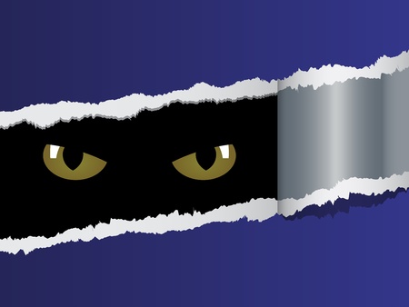 vector view on feline eyesのイラスト素材