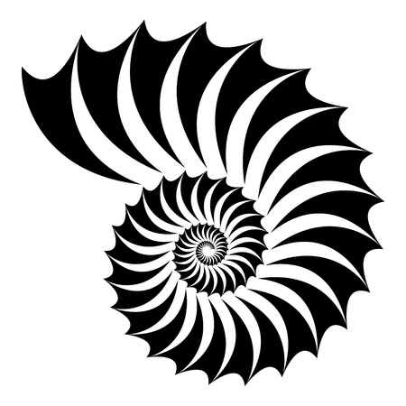  shell silhouetteのイラスト素材