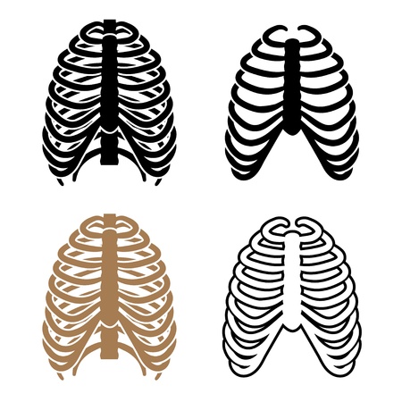 vector human rib cage symbolsのイラスト素材