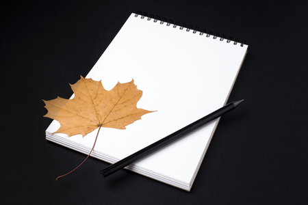 Opened clean notebook or sketchbook with pencil and autumn leaf on black backgroundの写真素材