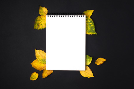 Opened notebook page with autumn leafs on black tableの写真素材