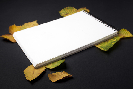 Opened notebook page with autumn leafs on black tableの写真素材