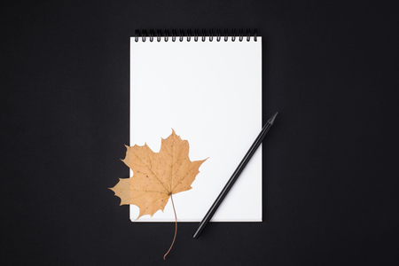 Opened clean notebook or sketchbook with pencil and autumn leaf on black backgroundの写真素材