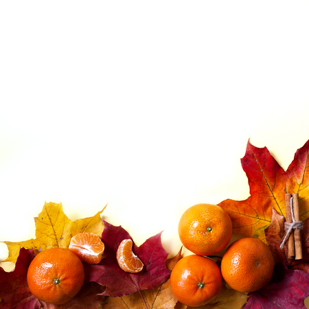 Frame Orange Red leaves Mandarins Autumn Top Viewの写真素材