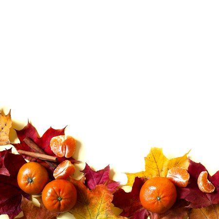 Frame Orange Red leaves Mandarins Autumn Top Viewの写真素材