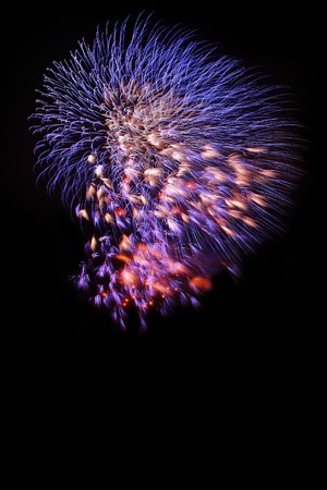 Fireworks selection on black backgroundの写真素材