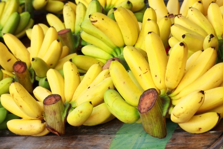 Banana bunch group on desk in marketの写真素材