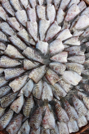 dry gourami fish full frame backgroundの写真素材