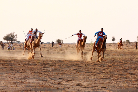 JAISALMER, INDIA - FEB 25: Camel racing on Feb 25, 2013 in Jaisalmer, India. The event is part of the Desert Festival held in winter to attract both domestic and international tourists.のeditorial素材