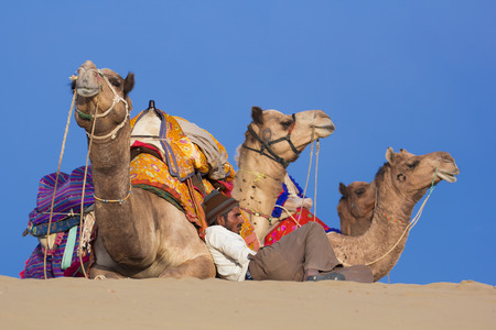 JAISALMER, INDIA - FEBRUARY 26: Thar desert on February 26, 2013 in Jaisalmer, India. Local people and their camel rest on Thar desert in evening time.のeditorial素材