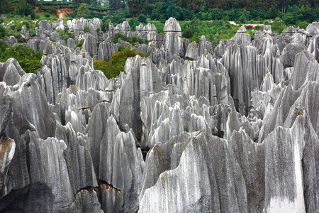 limestone Stone forest a UNESCO World Heritage Sites, Kunming Yunnan China.