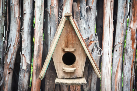 Bird house nesting hanging from wood bit log 