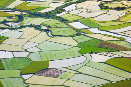 rice field with water river in Bac Son, Vietnam.