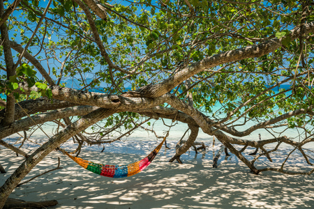 Hammock Tree Straps hang over the beach under shade, nobody on day time wide shot background at Nyaung Oo Phee, 
Myanmaの写真素材