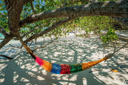 Hammock Tree Straps hang over the beach under shade, nobody on day time wide shot background at Nyaung Oo Phee, 
Myanmaの写真素材