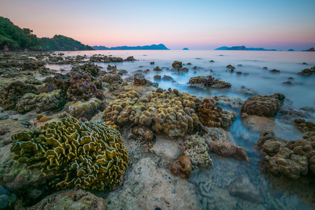 coral rock around beach during ebb tide and sunset time wide shot backgroundat  Nyaung Oo Phee, Myanmarの写真素材
