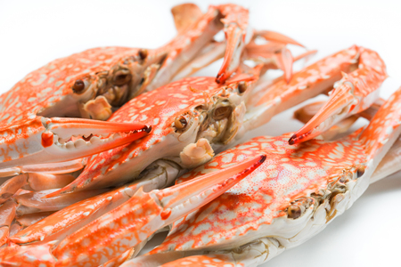 Flower crab steamed isolated on white background, groupの写真素材