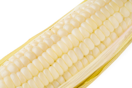 white corn isolated on white background, macro shotの写真素材