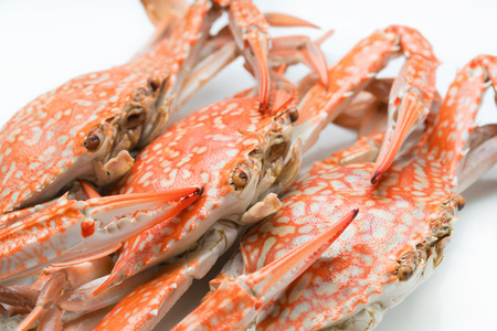 Flower crab steamed isolated on white background, groupの写真素材