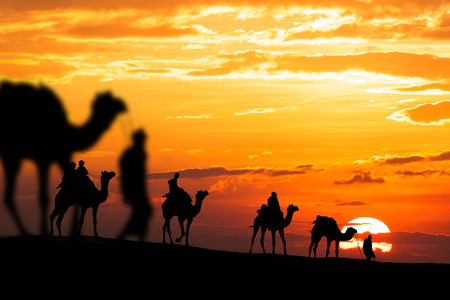 caravan walking with camel through Thar Desert in India, Show silhouette and dramatic skyの写真素材