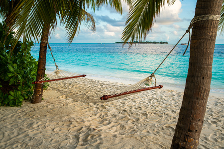 hammock on a palm tree near sea ocean sky shore sandの写真素材
