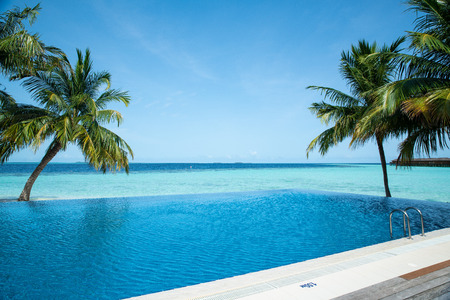 Swimming pool near sea view and coconut tree on clear sky day.の写真素材
