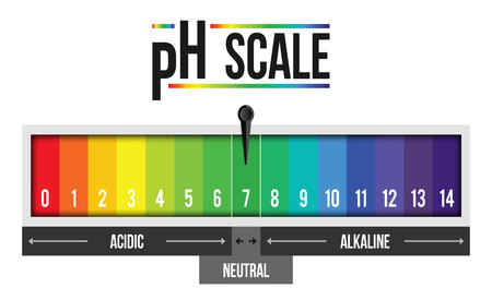 Creative vector illustration of pH scale value isolated on background. Chemical art design infographic. Abstract concept graphic litmus paper element.のイラスト素材