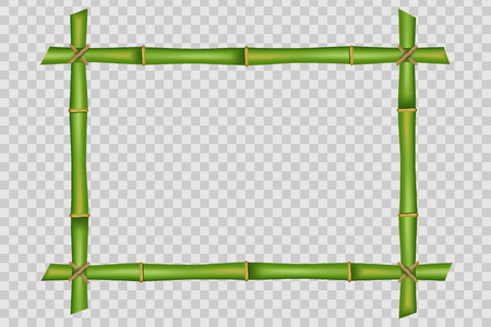 Creative vector illustration of bamboo stems frame isolated on background. Art design blank mockup template. Rope, paper, silk canvas. Abstract concept tropical signboard. Empty place for your textのイラスト素材