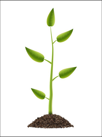 Creative vector illustration of growth up green tree with leaf isolated on background. Business cycle diagram development. Art design seedling gardening plant life. Abstract concept graphic elementのイラスト素材
