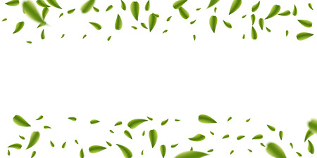 Creative vector illustration of realistic blurred fresh vividly flying green leaves isolated on transparent background. Art design green tea. Abstract concept graphic organic natural eco elementのイラスト素材