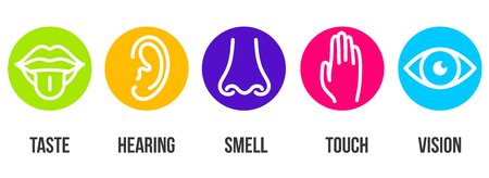 Creative vector illustration line icon set of five human senses. Vision, hearing, smell, touch, taste isolated on transparent background. Art design nose, eye, hand, ear, mouth with tongue element.のイラスト素材